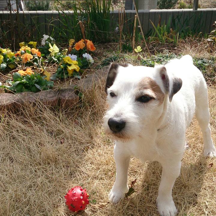 41c342f7 0c16 451f 9e0c aed86ab467af