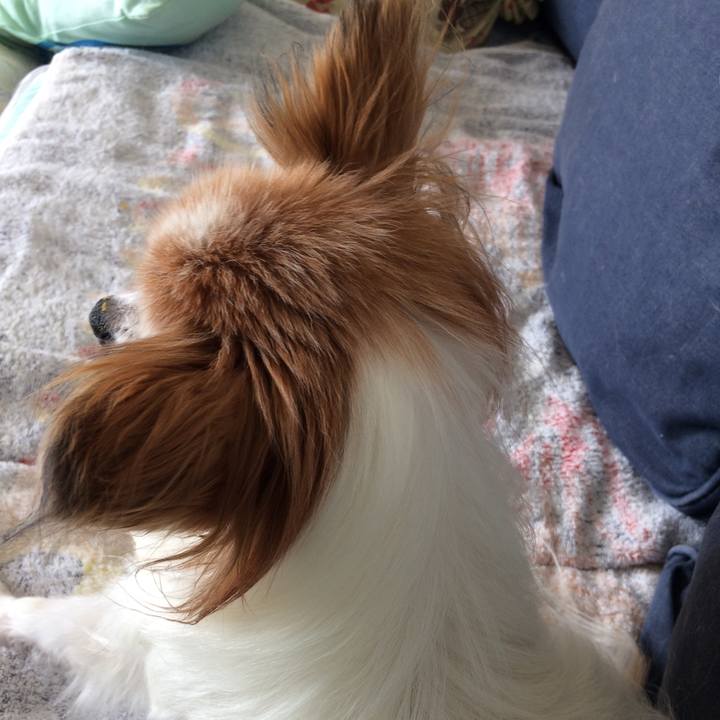 41c3ded6 c21c 4ce3 a9e7 42780c14dd39