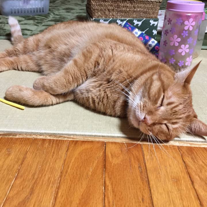 41c47f83 bd8a 461f 8217 2aa232ea374d