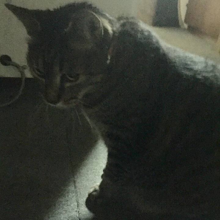 41c5199f 06ec 4a9b ac1e 60a6e6faac79