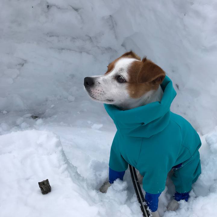 41c552a5 1990 4862 be6b fb131ebe8763