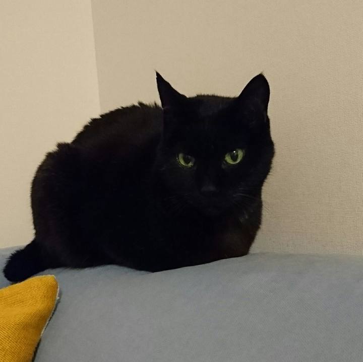 41c57bcb 0e25 48a0 91df eeda779c08fa