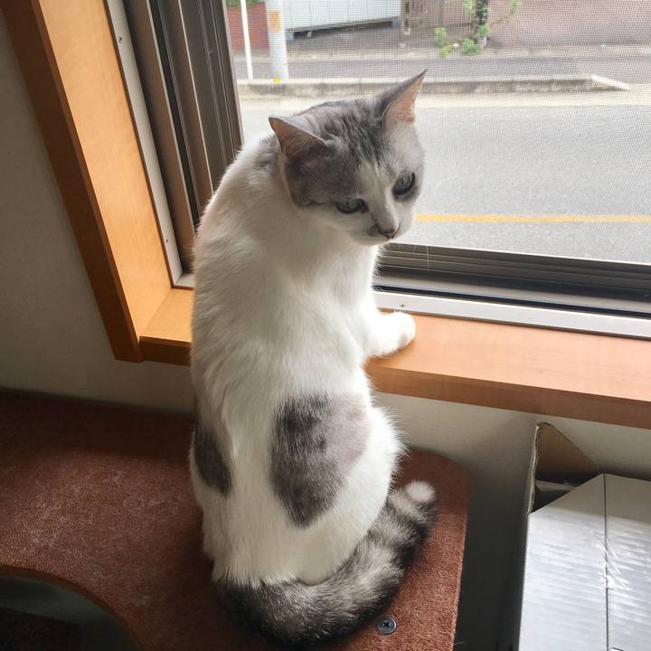 41c5d206 96f8 42cb 8dc7 09f7f35e0ca9