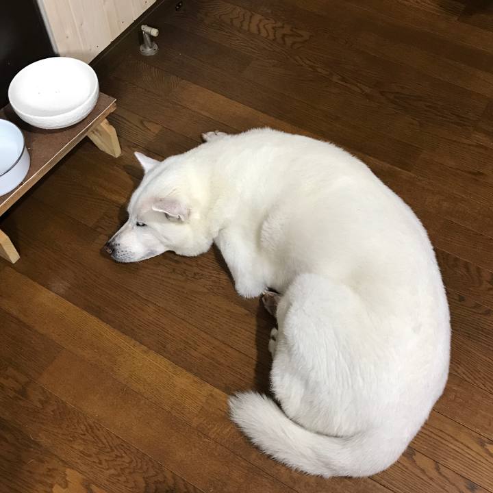 41c60872 42d4 4c3c bfab 3166aed7fba6