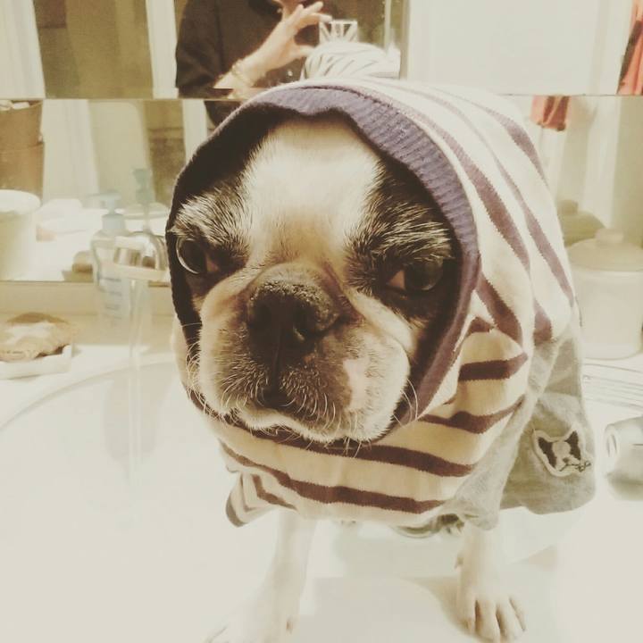 41c6ee0f 3c7b 4b60 9324 04bc1ca04404