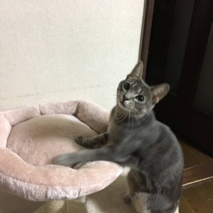 41c70240 4af0 4787 ac34 eaa76bc17982