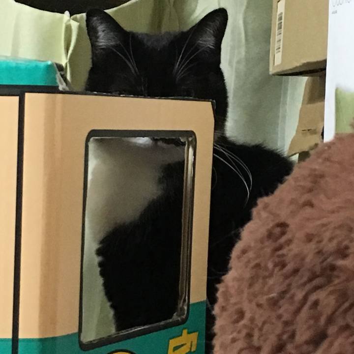 41c71f25 d082 4fe7 8013 779e0c99493b