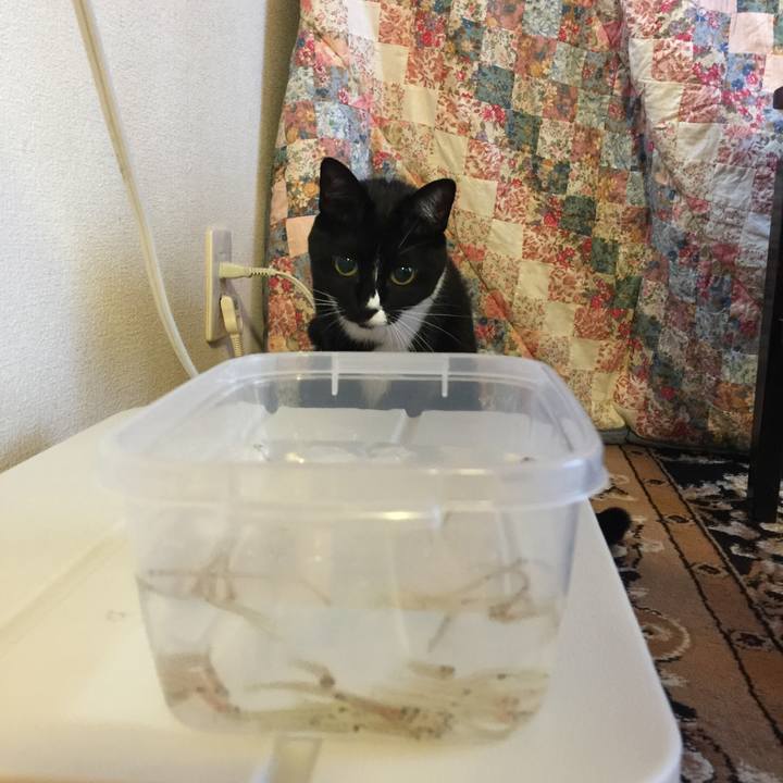 41c7a048 5724 4688 bef2 14665522cc56