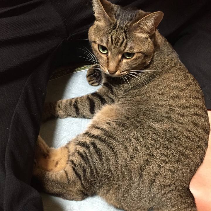 41c92276 4004 4708 b416 ded71b626d38