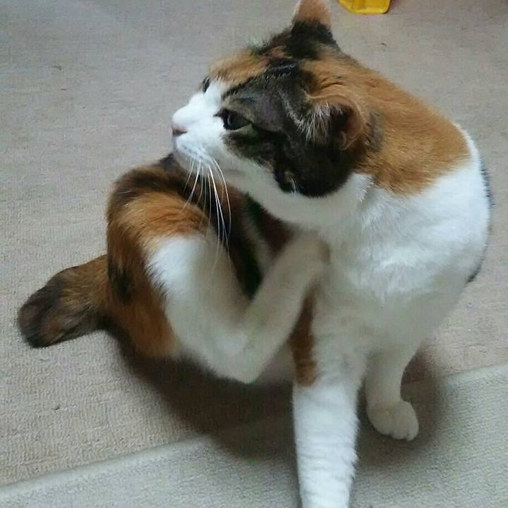 41c94c3b bebc 4ff0 be14 f3bf4820fc3f