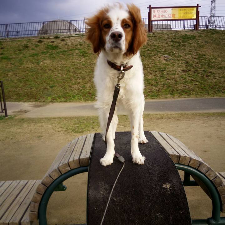 41c976c1 8bc9 4911 8a01 444fee3abfef