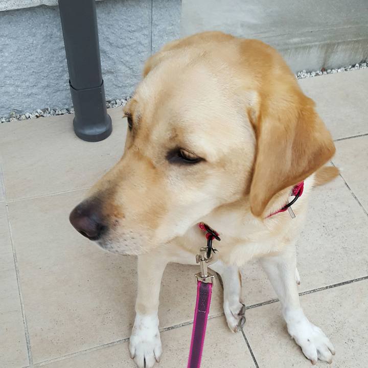 41ca3933 6a32 4e7d 8ba8 92917468de6c