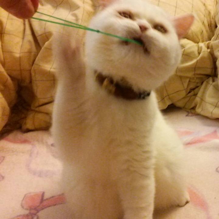 41cb119a 62ff 4baf aaf2 6f0799b9b2d6