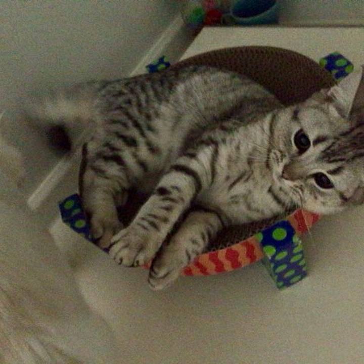 41cb52c2 a395 42ab 9b9d 1737ab74d934