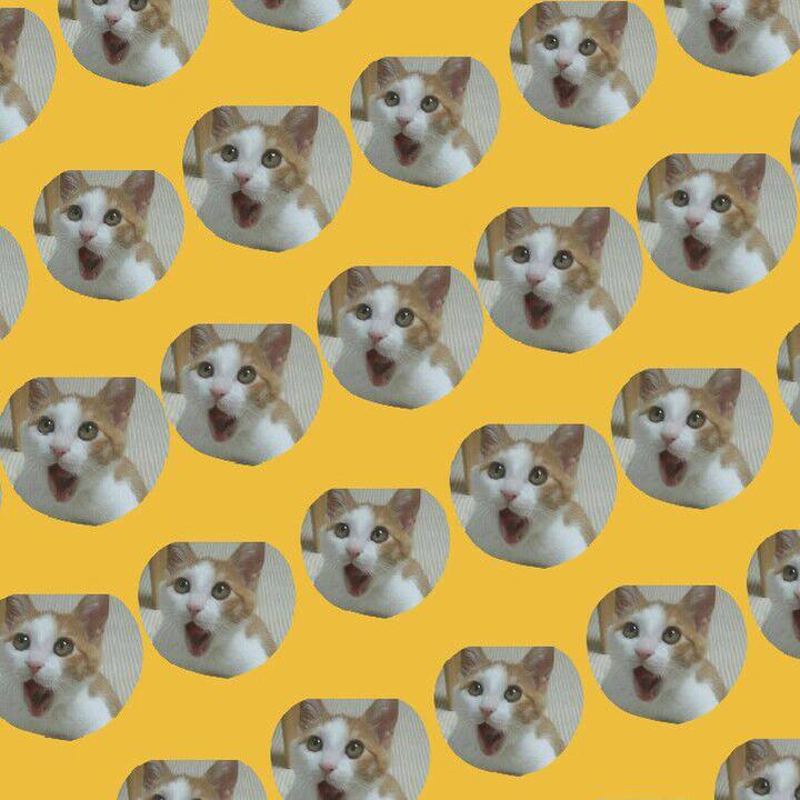 41cb9d9e 5b94 4b9e 9584 eed54755d629