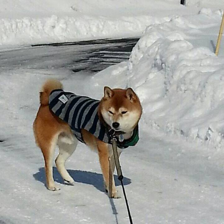 41cb9e43 4823 4cd5 adf1 a9110a1466cf