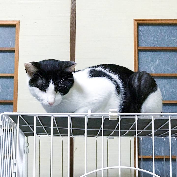 41cbd7ae 64db 40e9 ad32 381463f79848