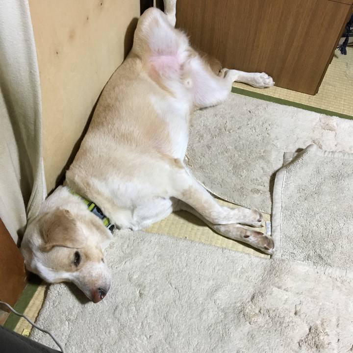 41cc2e22 b5be 4845 9bc6 728594a31ea3