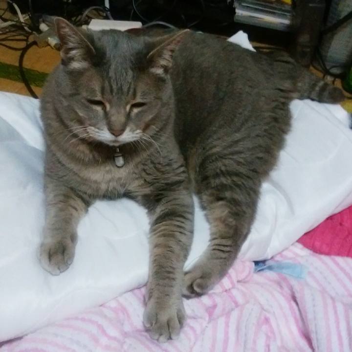 41cc8298 782e 49b3 a155 ad83cc8dc070