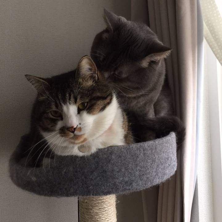 41cdbfe6 d5d1 40c4 83cf 8c492f17a106