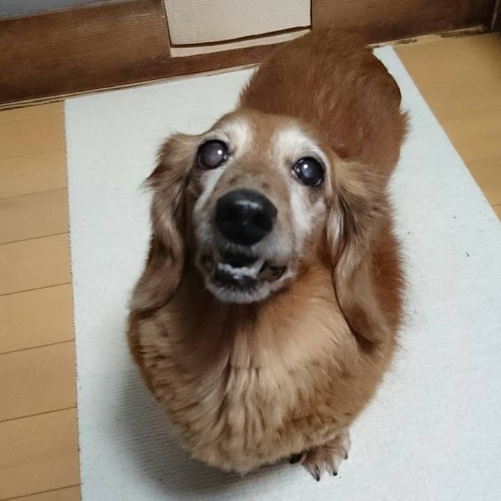 41cddd41 69a3 4d5a 9af8 1c7c93bae7ba