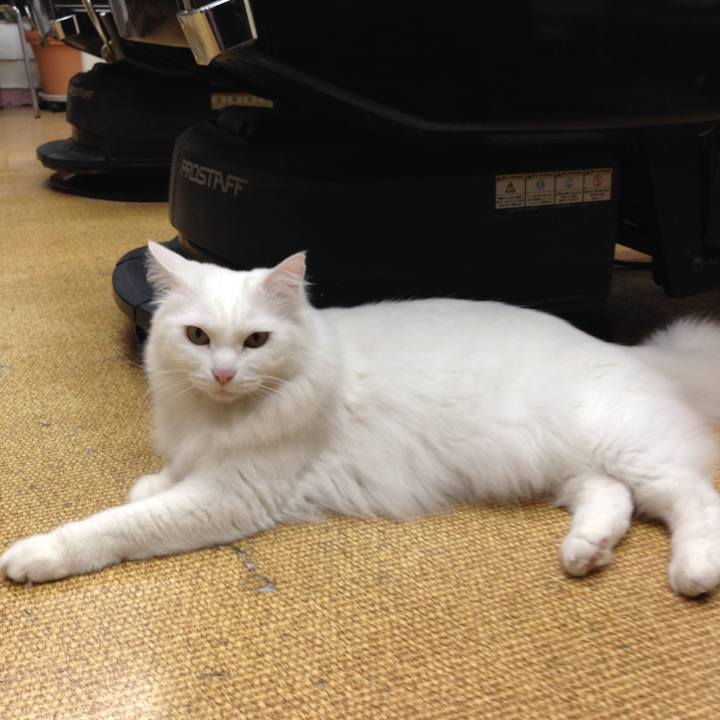 41cea2f1 9118 4f19 a013 7e30acd7b9d0