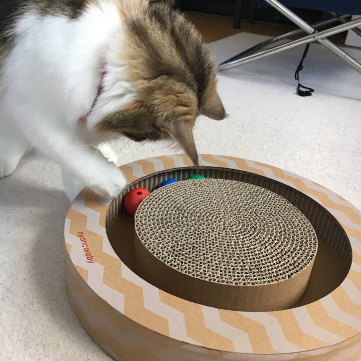 41cec382 4fbd 4087 bcf7 e1cdb3cda89d