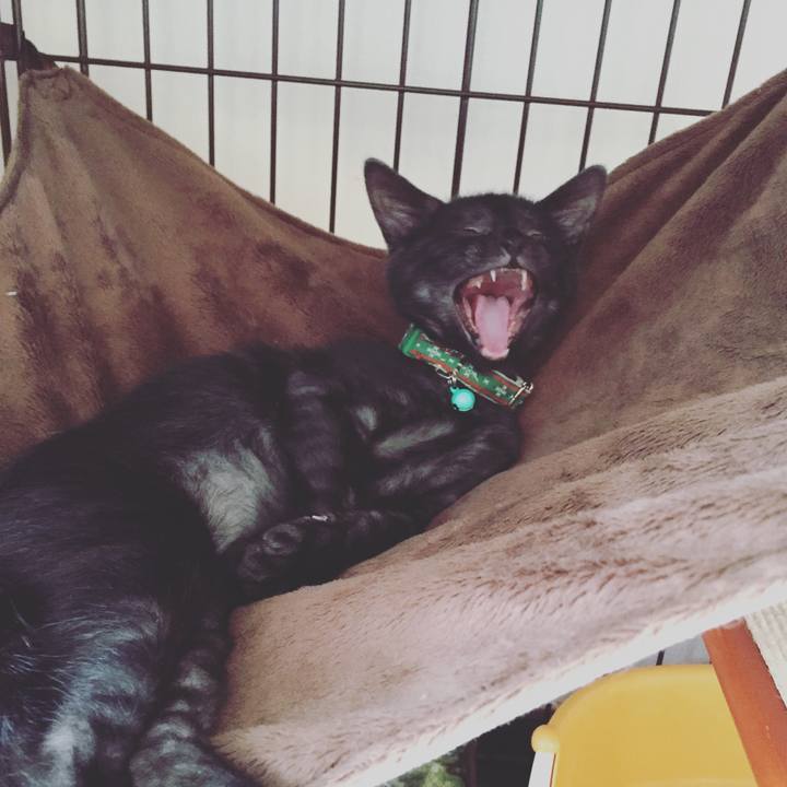 41cee7d8 b4f7 410c 987f dfcf62ec60e4