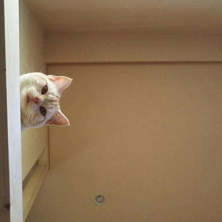 41cefc62 06de 4bd4 bc6b 1133731ec762