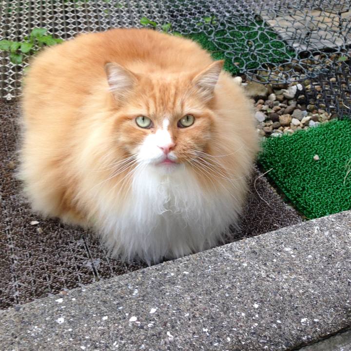 41cf3071 5a9b 4f49 bb96 8dff4aeb2a4f