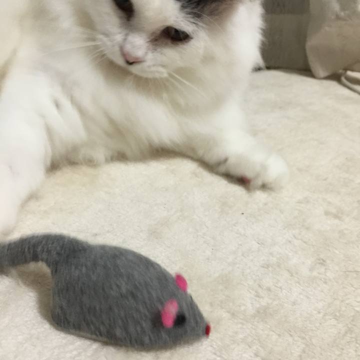 41cf6b76 977c 411f 920e c8a56d36b59e