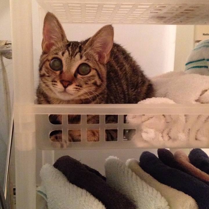 41cf7f53 b186 46f1 b6c5 29e15f802e74