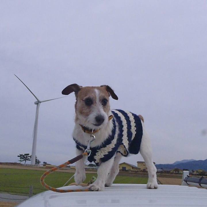 41cfa8ec 475a 4514 93f7 008911f119ed