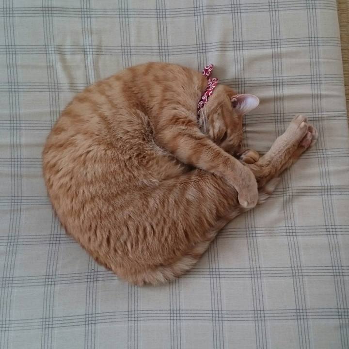 41d02a06 7a85 455b a19f 567f4a097afe