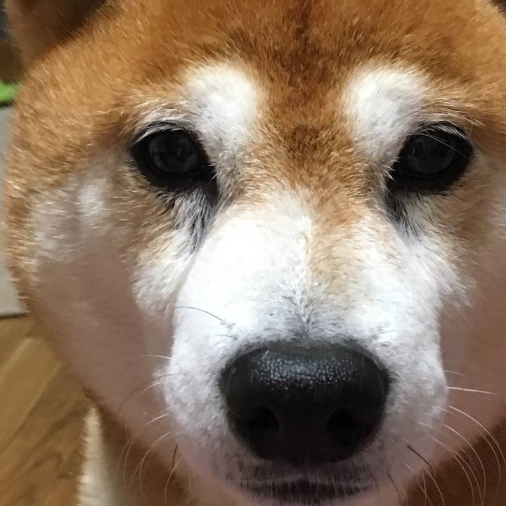 41d0a5e7 13b9 45f7 aec2 671c62adf8a5