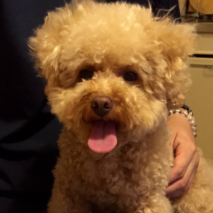 41d0aea2 57c7 4ce2 b9e3 506e498e11c3