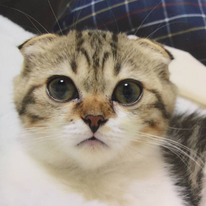 41d0c100 683d 4aef 919a a1e973f8d129