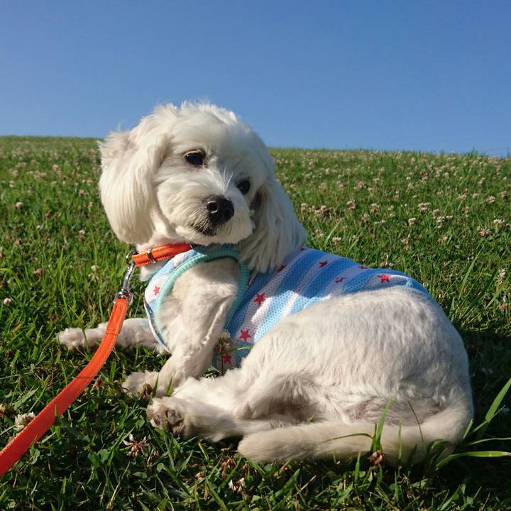 41d0e1d6 786f 45bc 8147 6068f47ecccb