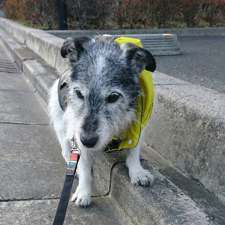 41d0feb4 1285 45c9 b4a8 850abcc7e5cb