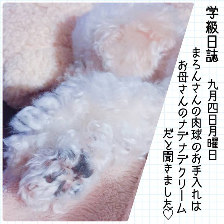 41d1044c 331f 43a3 9107 88cd004d869e