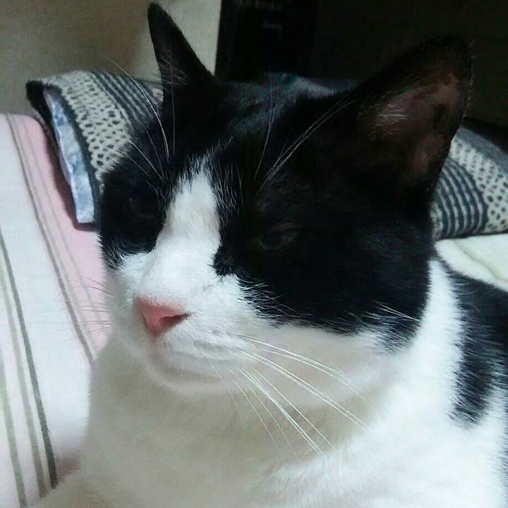 41d11a79 9219 453d 9b74 ba13447595a0