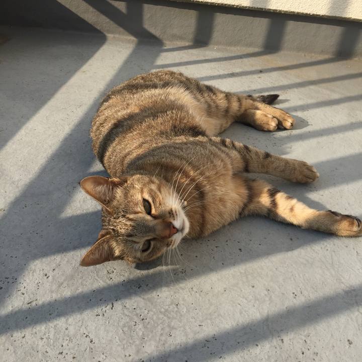 41d15ccb 6639 4317 8c23 4778c843cb75