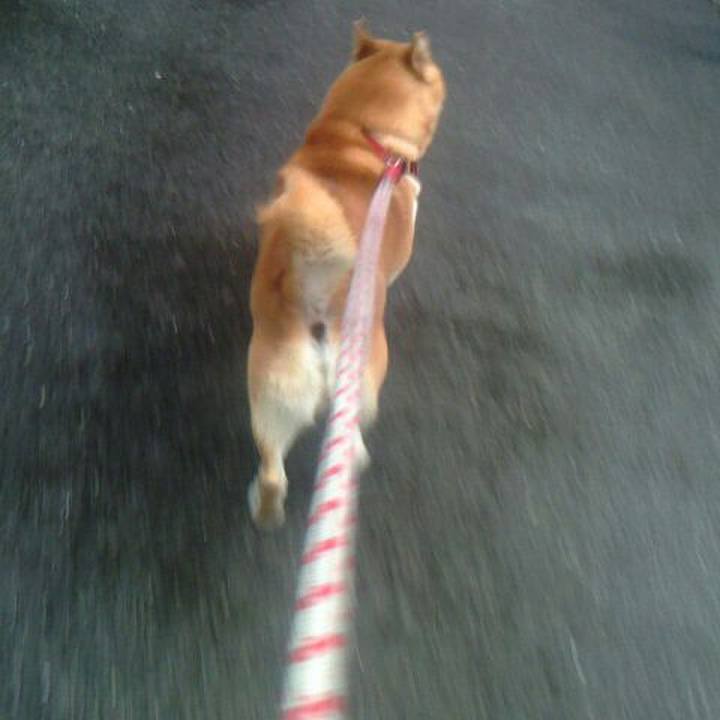 41d1cf25 e222 442c 9be1 3171f6cf92e1