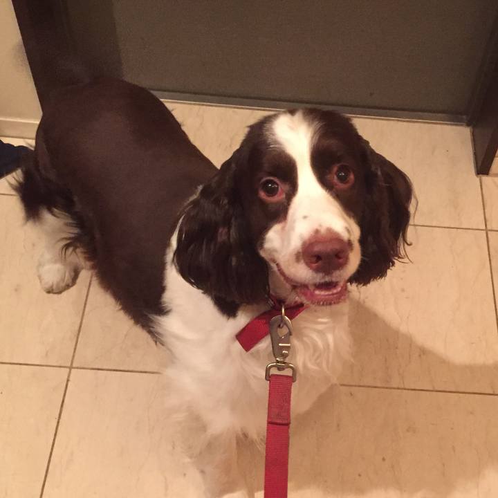 41d25e33 5feb 4210 b70e 996dc0612083