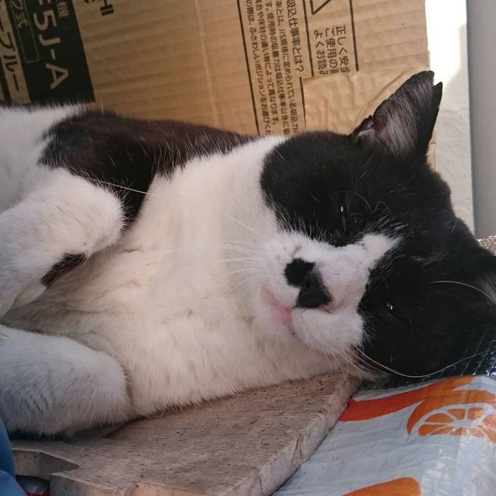 41d288aa dc9b 4a44 be3a f676fe2048e9