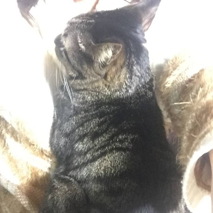 41d28a60 df40 4fd6 a5ac 96f6976d5bc8