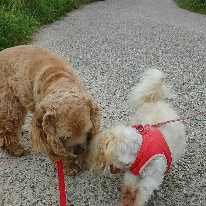 41d2bec9 1ed5 41af b62e f8bb4b657251