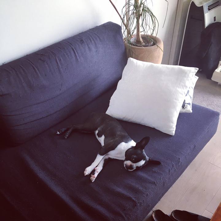 41d30dce 97b7 431d a47e eadd10416b04