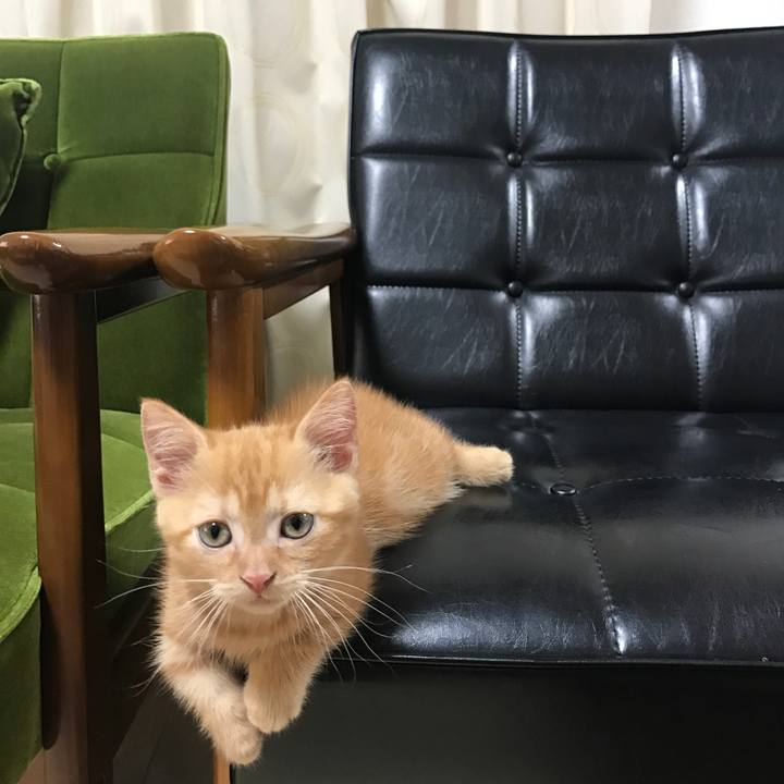 41d371c8 19d3 4147 9724 bce1c16042ac