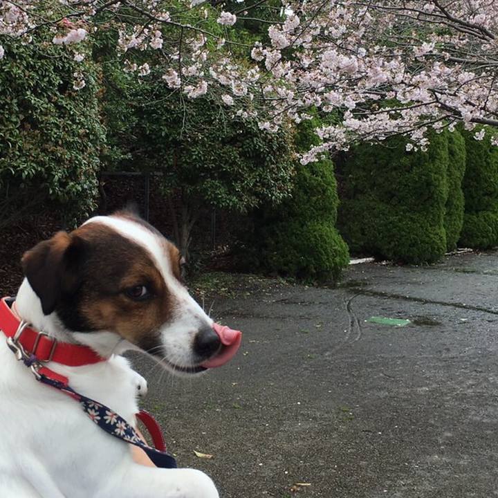 41d38836 1be6 42a2 ace0 d23d7e779f1f